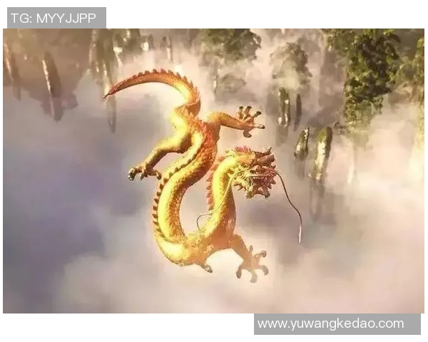 可兰白克的传奇人生与不屈精神探索之旅