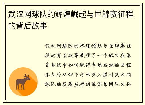 武汉网球队的辉煌崛起与世锦赛征程的背后故事
