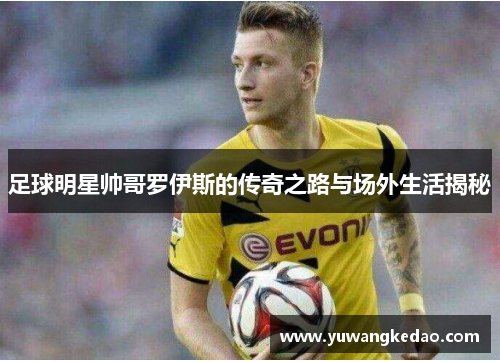 足球明星帅哥罗伊斯的传奇之路与场外生活揭秘